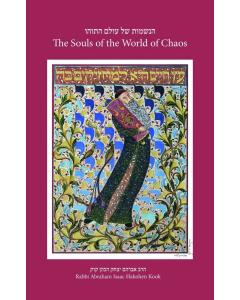 The Souls of the World of Chaos Paperback Betzalel Naor