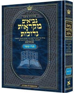 Czuker Edition Hebrew Nach Mikra'os Gedolos Nevi - Trei Asar