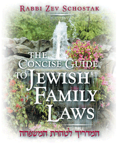 Concise Guide to Jewish Family Laws [Pocketsize]