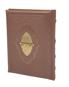 Antique Leather Tehillim Yesod Hatfilah Peach Pink w/ Gold Plate - Venice Design