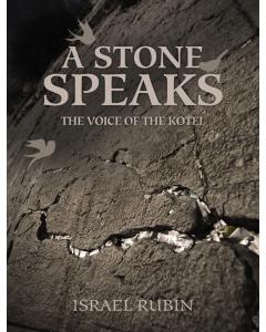 A Stone Speaks [Hardcover]