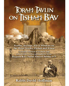 Torah Tavlin on Tisha B'av