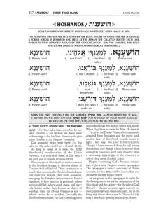 Schottenstein Interlinear Rosh HaShanah Machzor Pocket Size - Ashkenaz [Leather White]