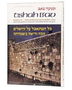 Tishah B'av: Texts, Readings, And Insights