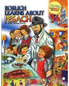 Boruch Learns About Pesach - Rabbi Shmuel Kunda [Laminated Edition]