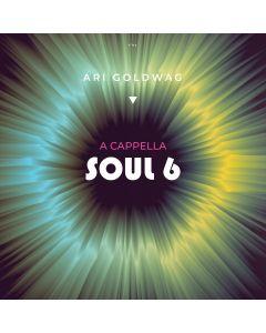 Ari Goldwag Cd Acapella Soul 6