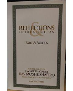 Reflections & Introspection - Exile & Exodus