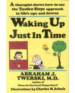 Waking Up Just in Time [Paperback]