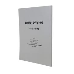 Netivot Shalom Purim