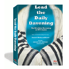 Lead The Daily Davening MP3 CD The Weekday Davening