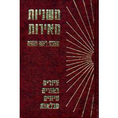 Mishnayos Meiros Megillah