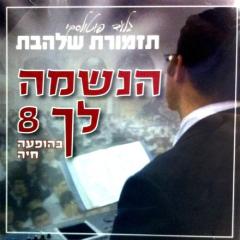 Haneshomo Loch vol 8 CD Shalhevet Orchestra