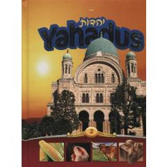 Yahadus Students Workbook Vol. 2