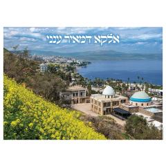 Rebbe Meir Teveria - Laminated Poster