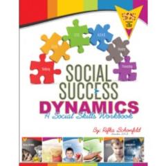 Social Success Dynamics [Paperback]
