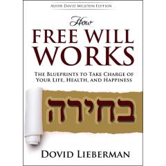How Free Will Works [Paperback]