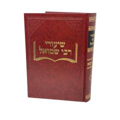 Shiurei Rabbi Shmuel Baba Kama Volume 1