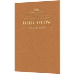 Schottenstein Edition Interlinear Birchon - Copper Cover