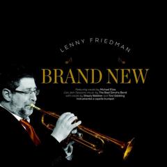 Lenny Friedman CD Brand New