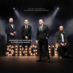 Mordechai Shapiro & Freilach Band "Sing It" - USB