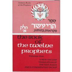 Judaica Press Nach  - Trei Assar/Twelve Prophets 1