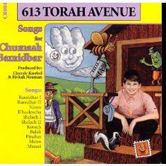 613 Torah Avenue CD Volume 4 Bamidbar