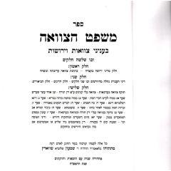 Mishpat Hatzvah Yerushot- Halacha