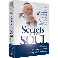 Secrets Of The Soul Vol. 1 [Hardcover]