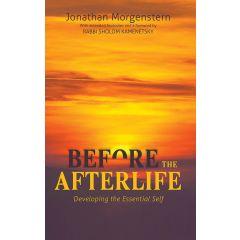 Before the Afterlife
