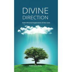 Divine Direction [Paperback]