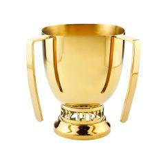 Judaica Reserve Gold Wash Cup