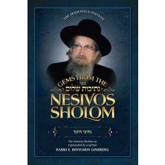 Gems from the Nesivos Shalom: Nesivei Chinuch