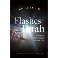 Flashes of Torah