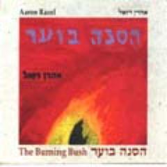 Aaron Razel CD The Burning Bush