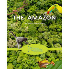The Amazon DVD