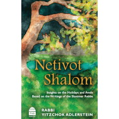 Netivot Shalom, Insights on Holidays and Avoda