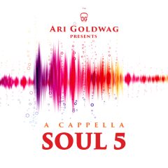 Ari Goldwag Cd Acapella Soul 5