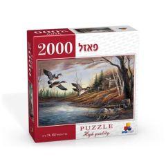 Birds At Shore 2000 Piece Puzzle