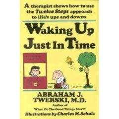 Waking Up Just in Time [Paperback]
