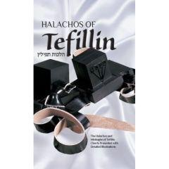 Halachos of Tefillin