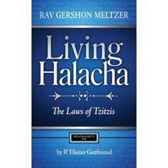 Living Halacha - Vol. 2