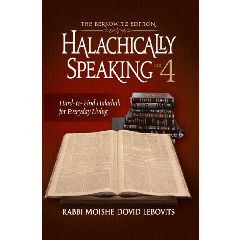 Halachically Speaking Vol. 4