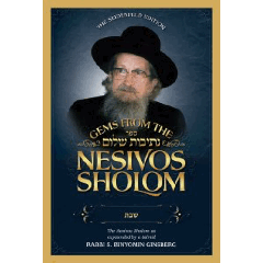 Gems from the Nesivos Shalom: Shabbos Kodesh