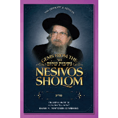 Gems from the Nesivos Shalom: Purim