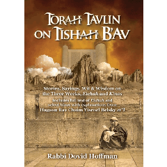 Torah Tavlin on Tisha B'av