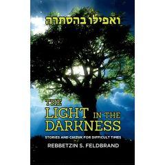 The Light in the Darkness [Hardcover]
