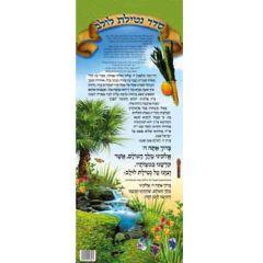 Seder Netilas Lulav Long Laminated Sukkah Poster