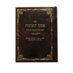 Piskei Teshuvos Rabinovitz Volume 1 Hashkamas Haboker - Tefila