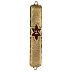 Star of David Stone Mezuzah - Gold - Quest Collection
