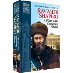 Rav Meir Shapiro  A Blaze in the Darkening Gloom [Hardcover]